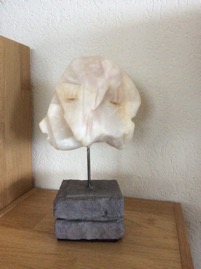 IMG_4876.JPG