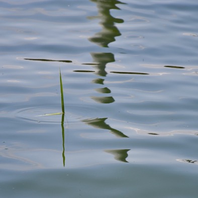 EECCE8B8-BC00-48AF-B073-488D1D784A6D_1_105_c.jpeg